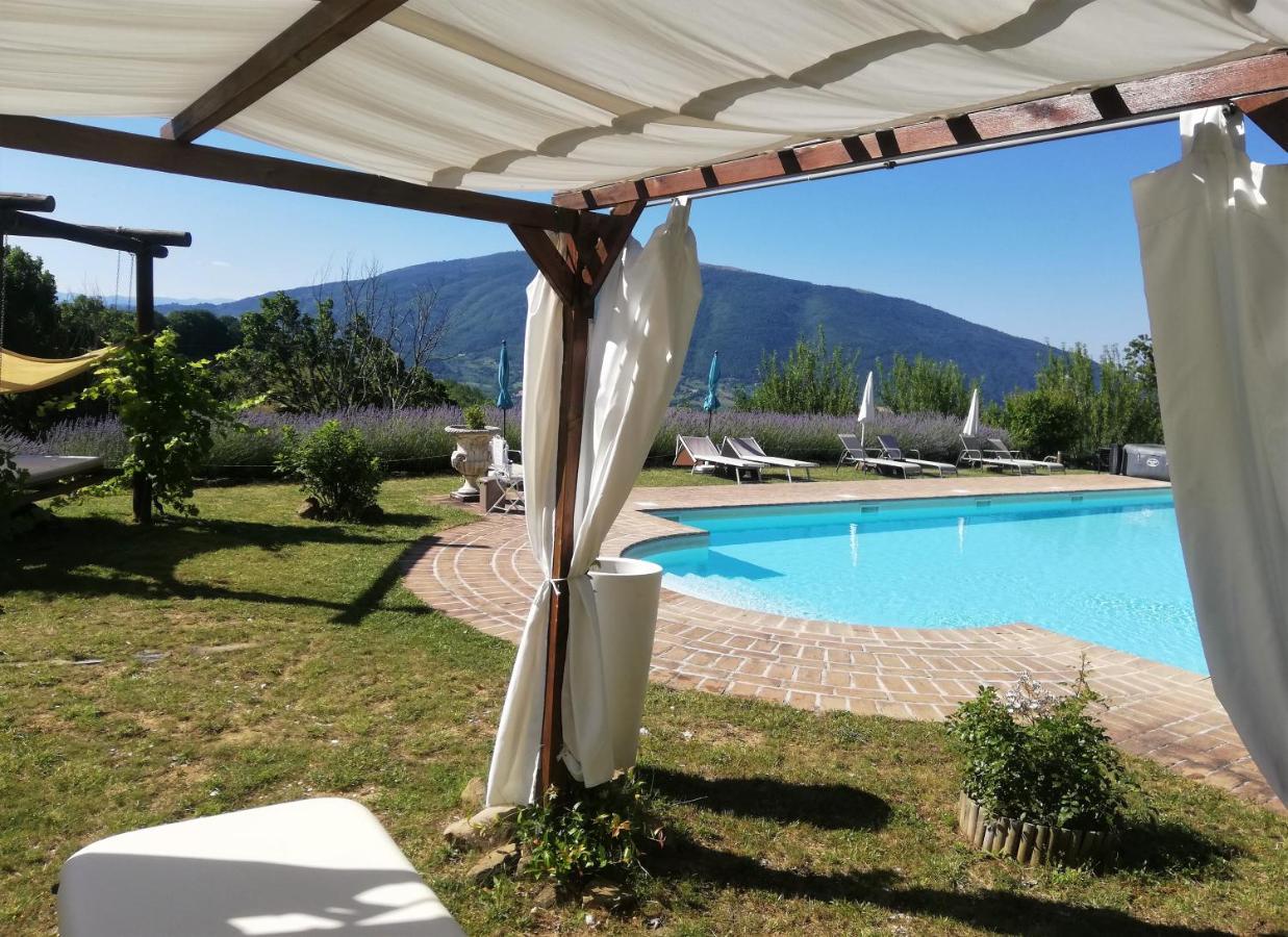 Le Ginestre Apartments Ασίζη Εξωτερικό φωτογραφία