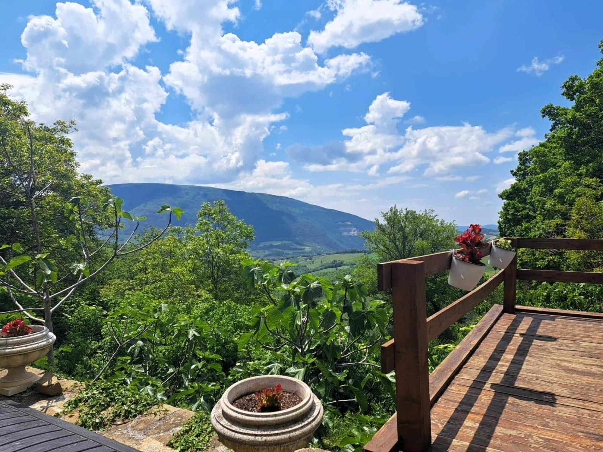 Le Ginestre Apartments Ασίζη Εξωτερικό φωτογραφία