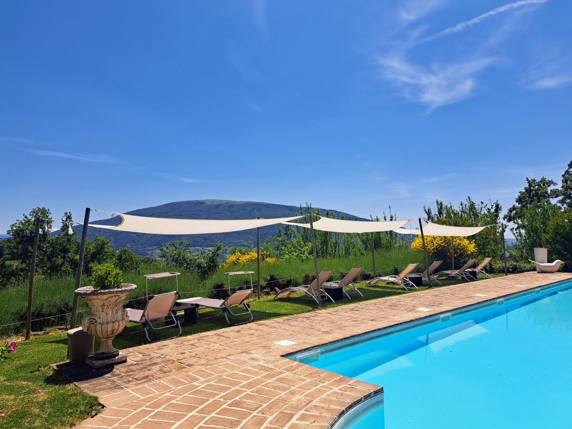 Le Ginestre Apartments Ασίζη Εξωτερικό φωτογραφία